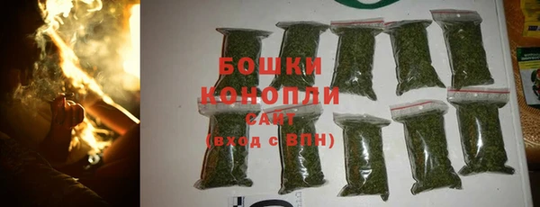 хмурый Горняк