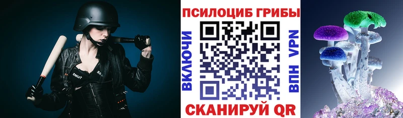 Галлюциногенные грибы Psilocybine cubensis  наркота  Галич 