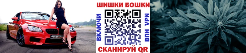 Бошки марихуана OG Kush  Галич 